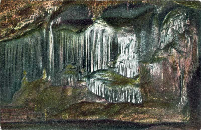 15957_P33