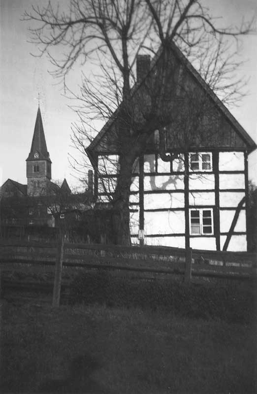 50013_P81.jpg