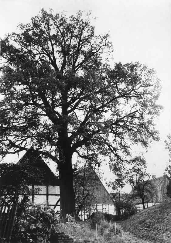 50303_P81.jpg