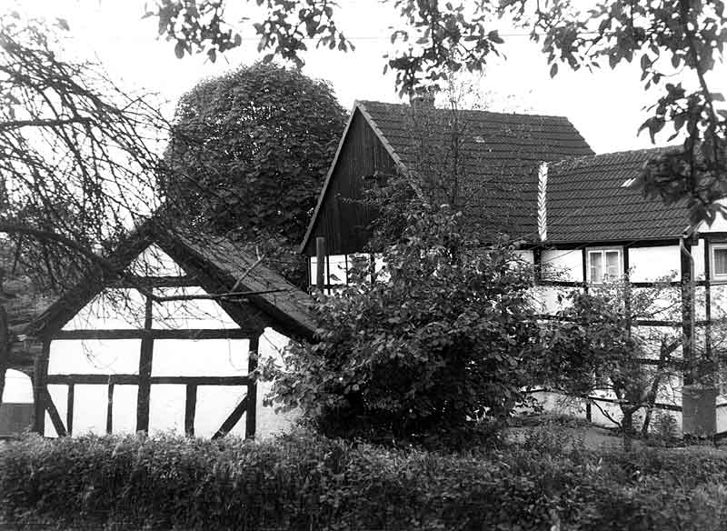 50428_P47.jpg