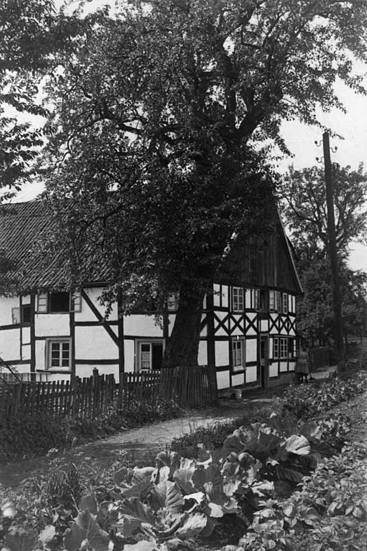 57154.jpg