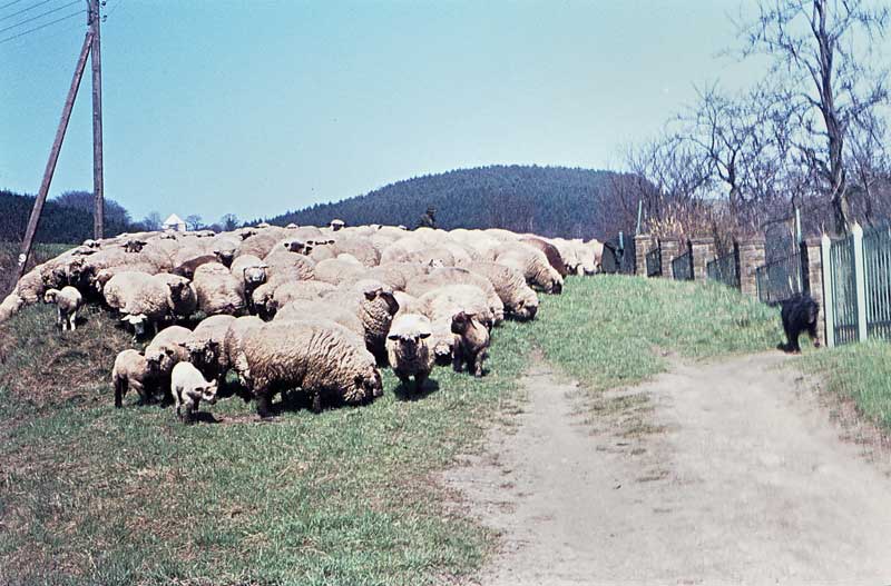 S4_009.jpg