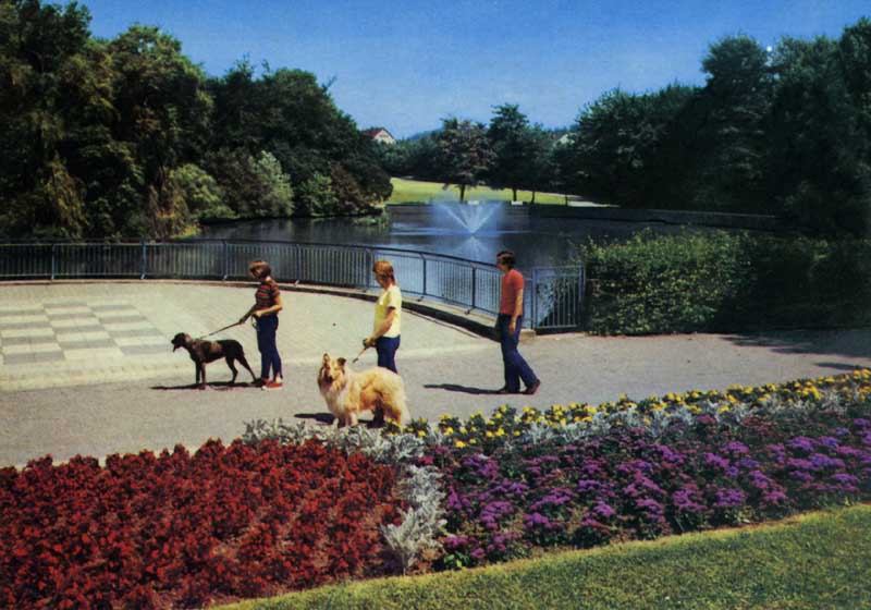 00170P19.jpg