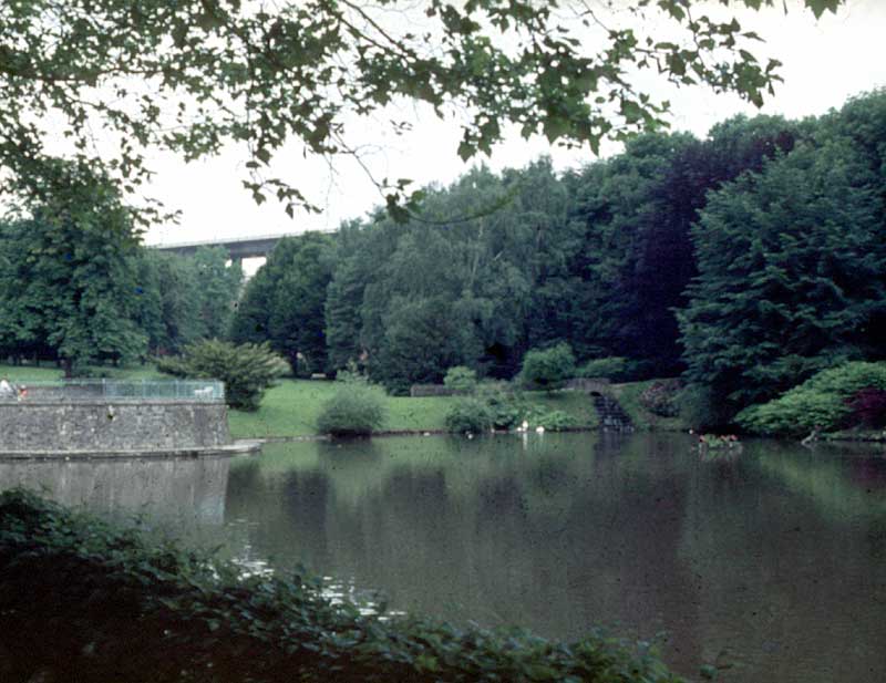 50881_D2.jpg