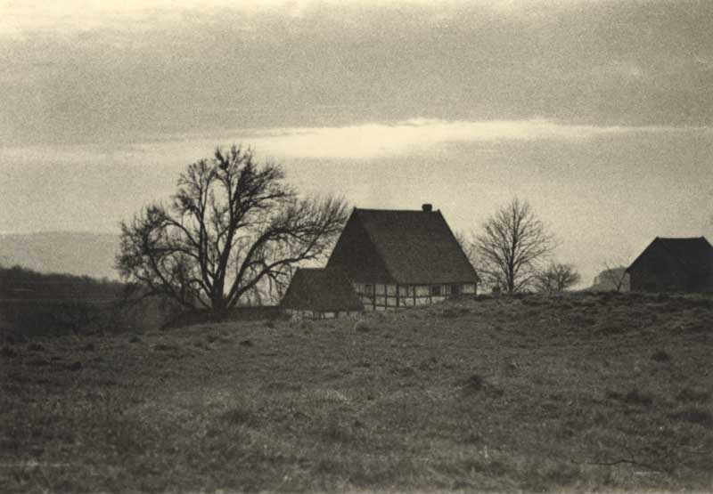 50285_P90.jpg
