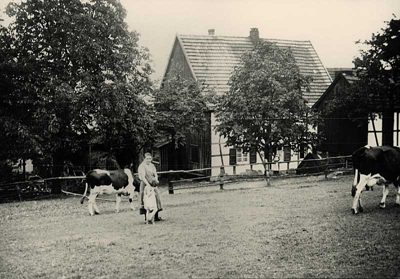 50442_P49.jpg