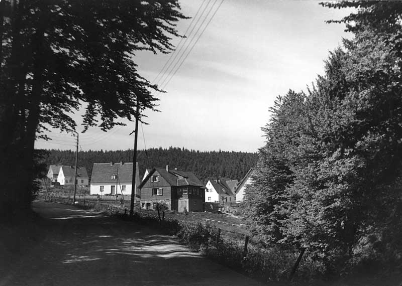 50339_P20.jpg