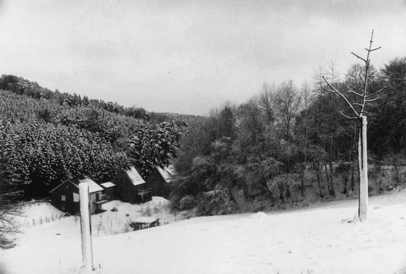 50341_P20.jpg