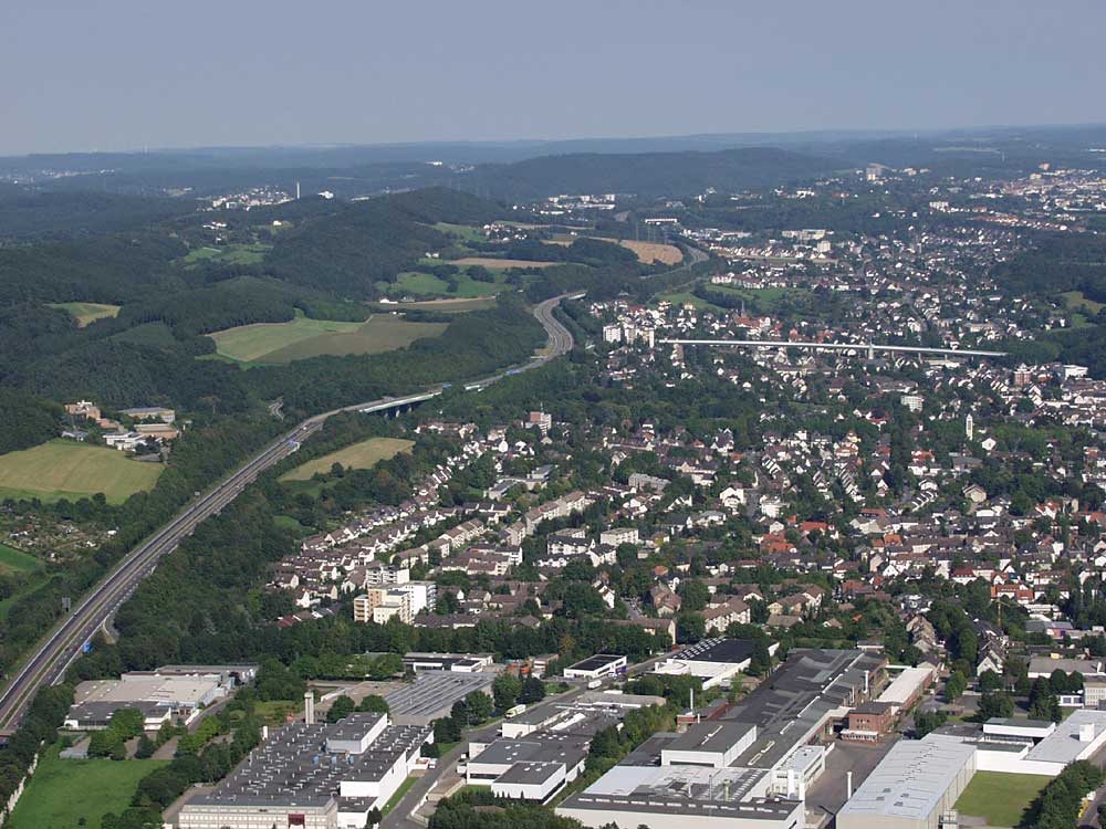 57245.jpg