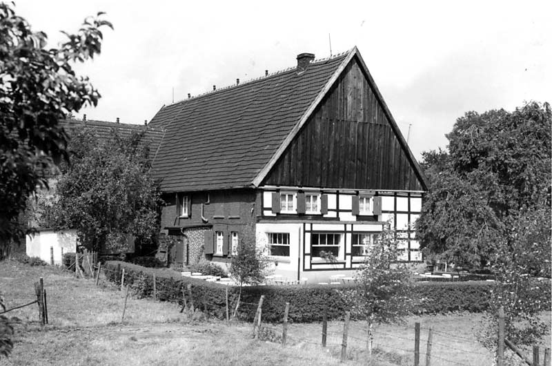 20071_p50.jpg