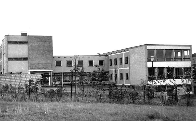 20045_p53.jpg