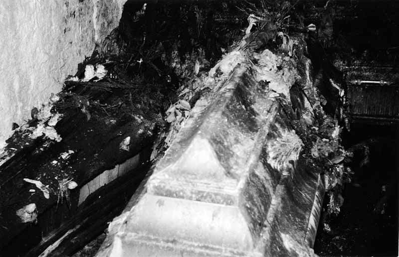 15482_P46