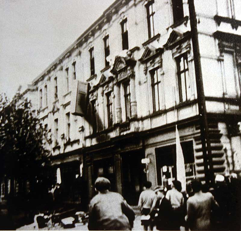 50888_D2.jpg