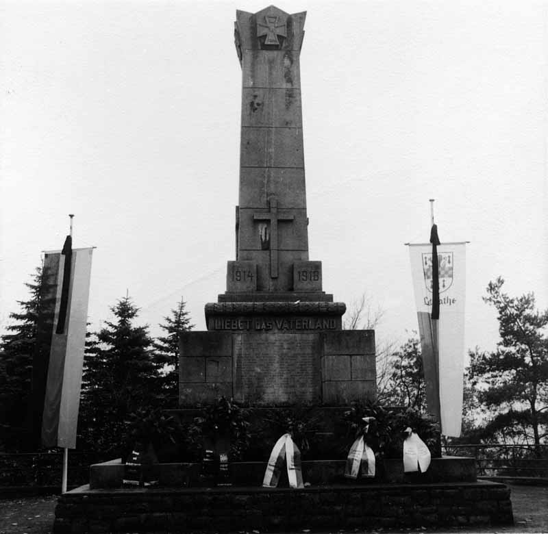 15463_P46