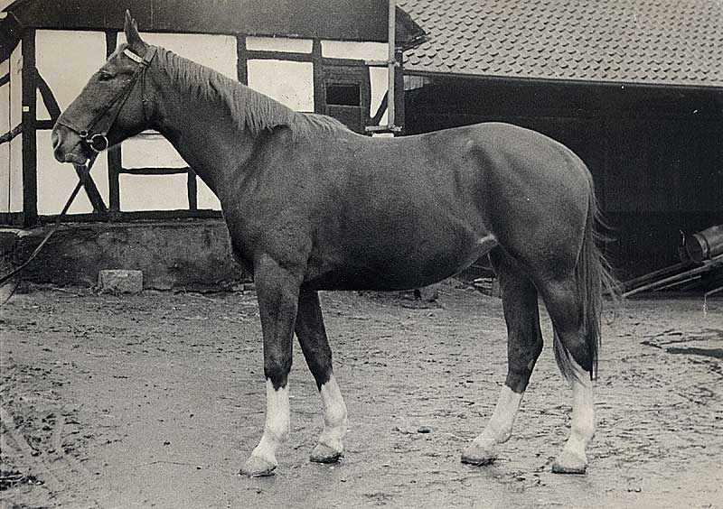 50481_P47.jpg