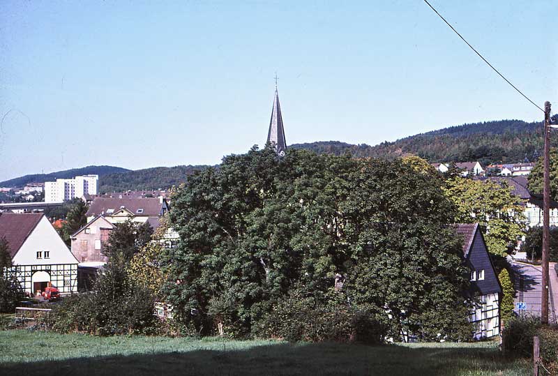 S5_024.jpg