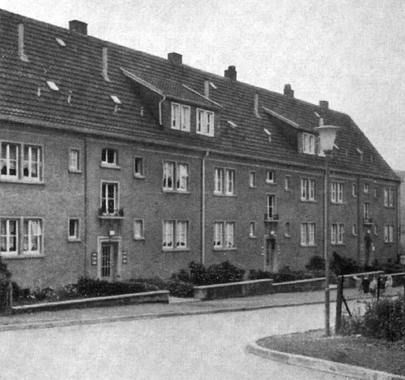 57164.jpg