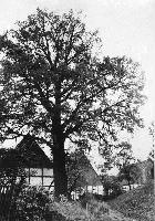50303_P81.jpg
