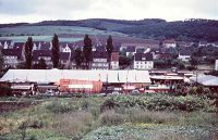 V1_007.jpg