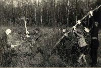 50174_P86.jpg