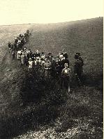 50322_P86.jpg