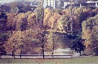 00164P19.jpg