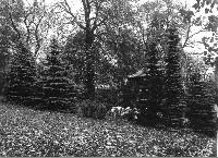 50684_P27.jpg