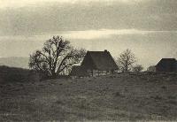 50285_P90.jpg