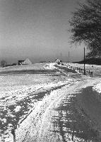 50294_P82.jpg