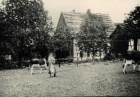 50442_P49.jpg