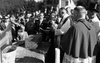 25050_P41.jpg