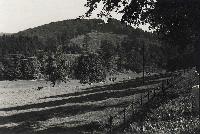 50630_P25.jpg