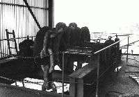 00077P75.jpg