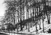 50256_P87.jpg