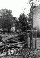 50495_P47.jpg
