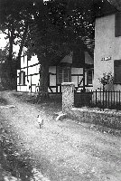 50501_P49.jpg