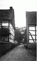 50513_P49.jpg