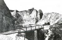 T1_003.jpg
