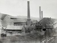 T7_005.jpg