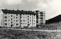 50534_P48.jpg