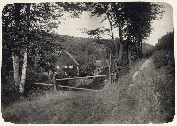 50541_P48.jpg