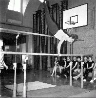 20062_p53.jpg