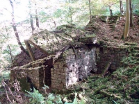 15998