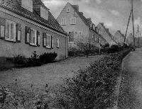15295_P06