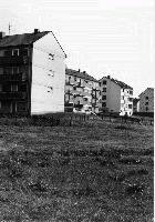 15310_P09